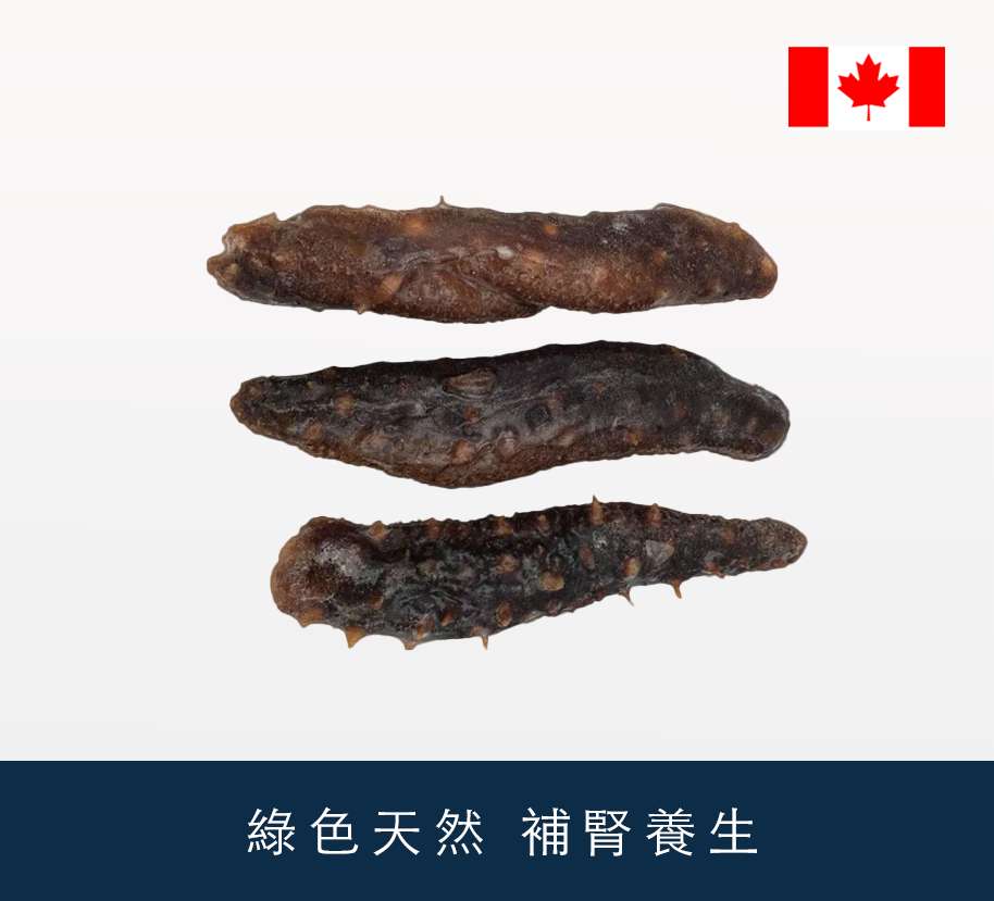 加拿大急凍已發刺參 350g